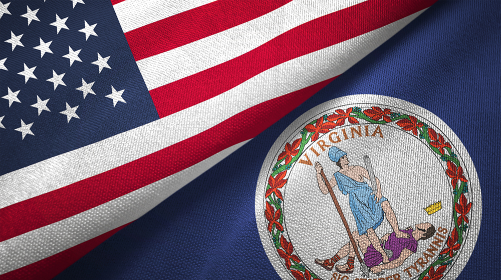 TrueVault-Meet the CDPA-Virginias-New-Data-Privacy-Law