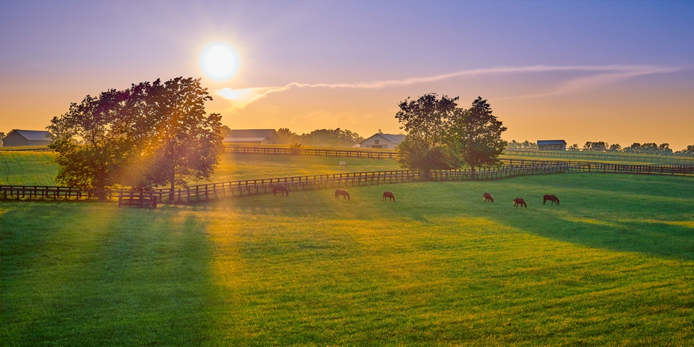 kentucky-fields